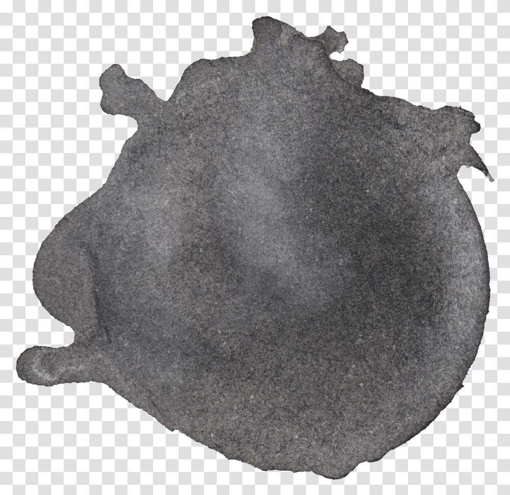 Black Watercolor Circle Igneous Rock, Petal, Flower, Plant, Blossom Transparent Png