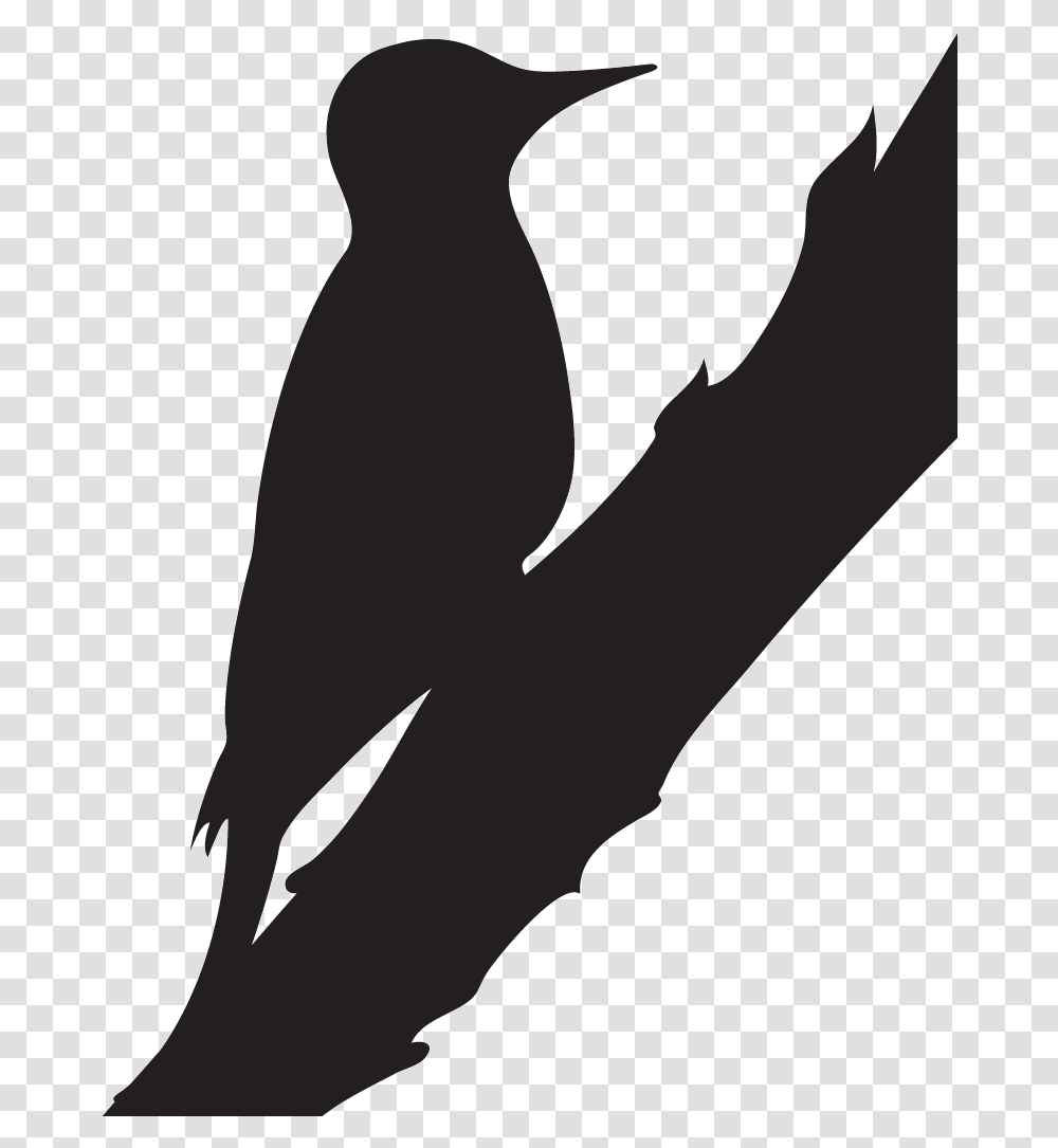 Black White And Red Woodpeckers, Silhouette, Person, Arm, Hand Transparent Png