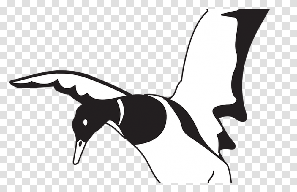 Black White Bird Free Vector Graphic, Animal, Penguin, Magpie, Anseriformes Transparent Png