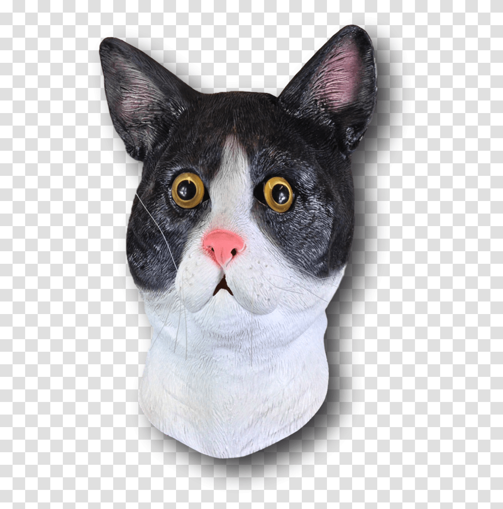 Black White Cat Mask, Snout, Manx, Pet, Mammal Transparent Png