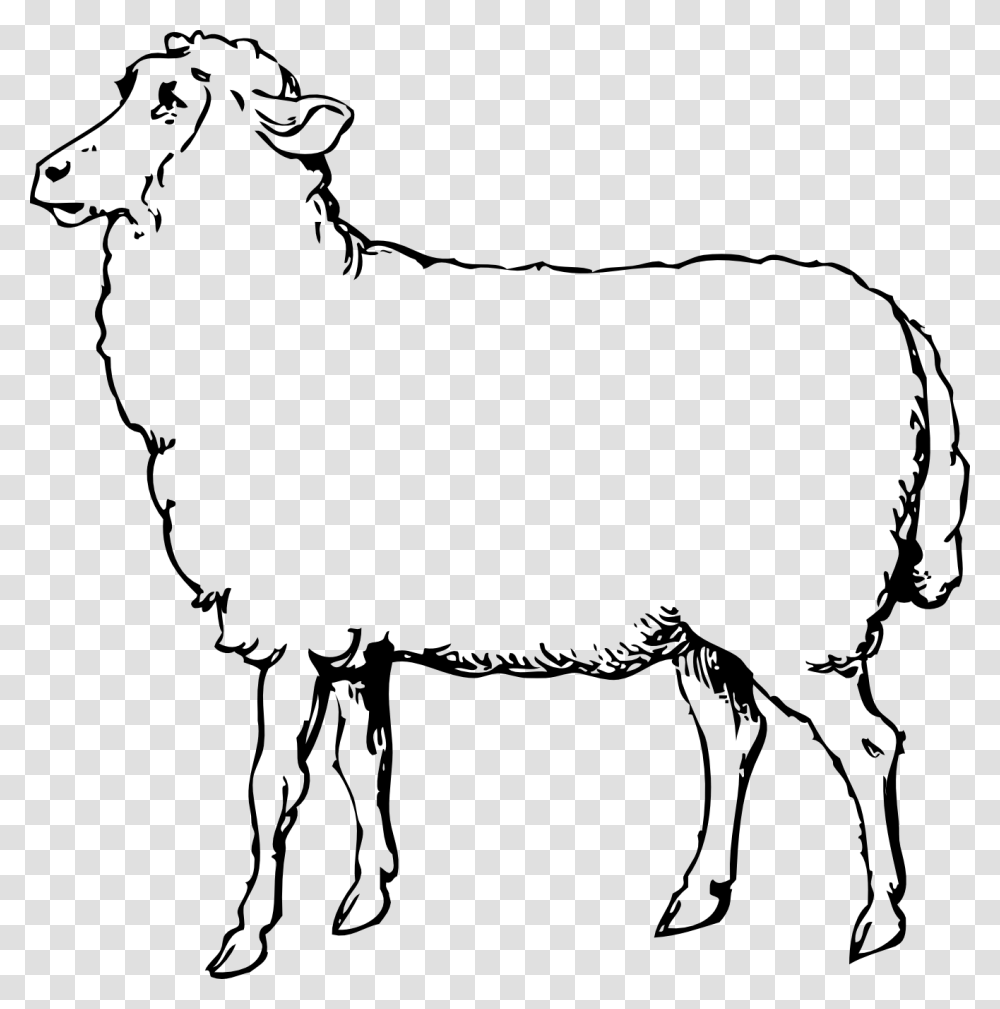 Black White Clipart Sheep, Mammal, Animal, Bow, Goat Transparent Png