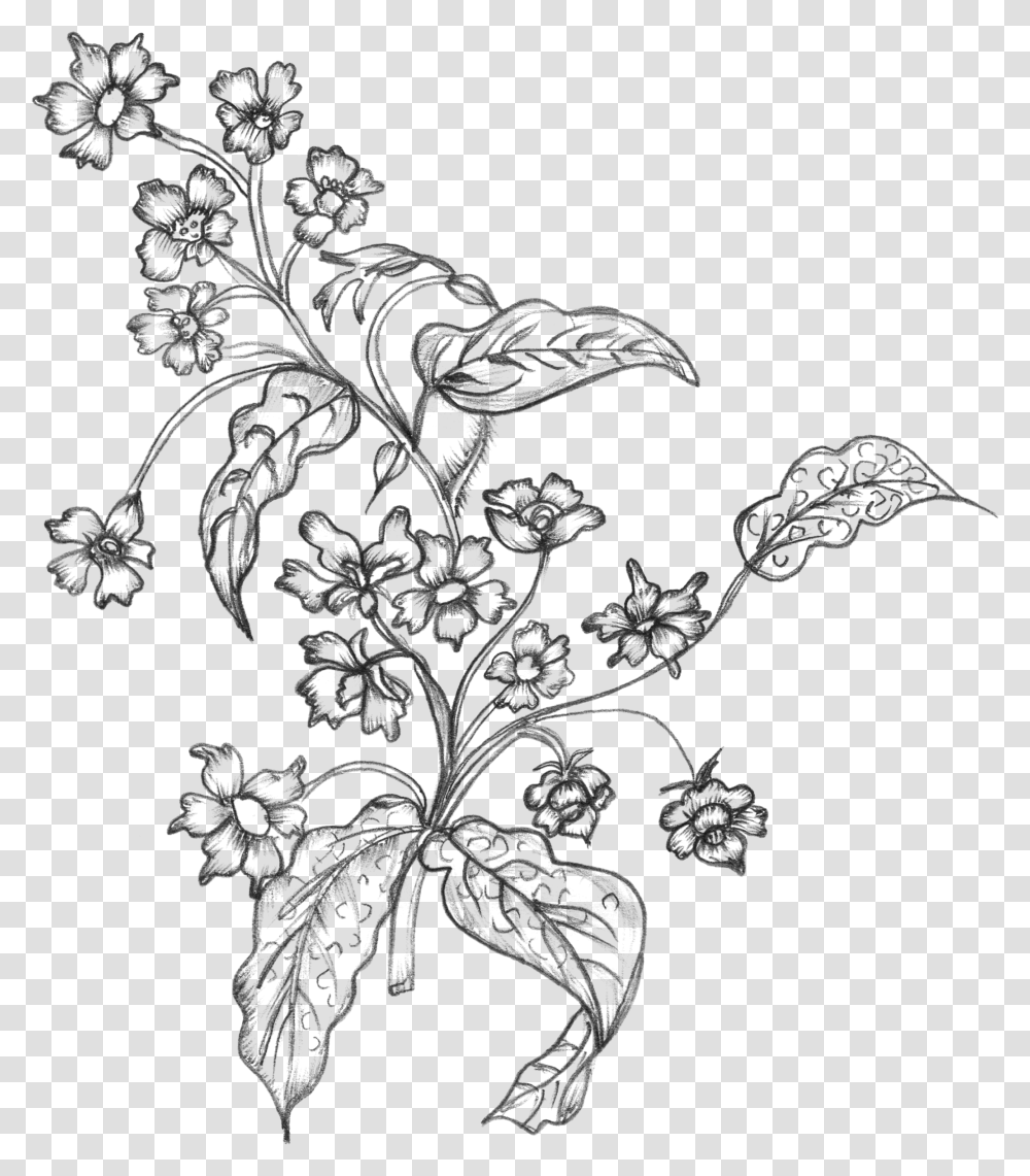 Black White Sketchy Flowers Free Flower Line Art Background, Outdoors, Gray, Nature, Astronomy Transparent Png