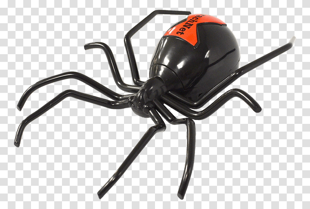 Black Widow, Animal, Invertebrate, Insect, Spider Transparent Png