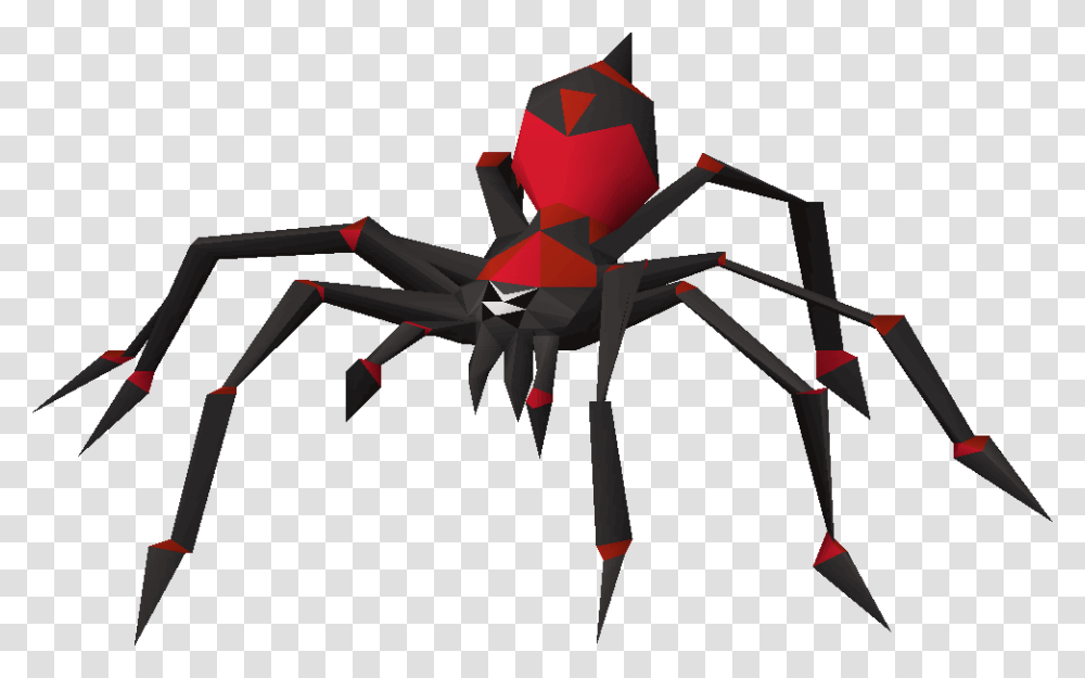 Black Widow, Animal, Paper, Invertebrate Transparent Png