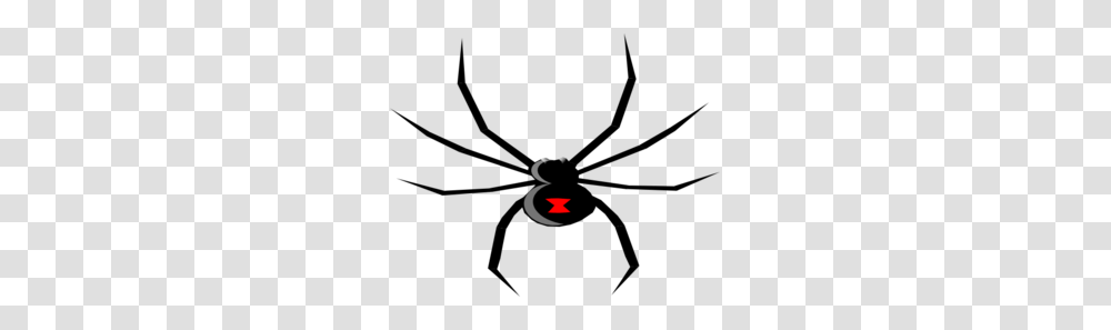 Black Widow Clip Art, Animal, Invertebrate, Insect, Firefly Transparent Png