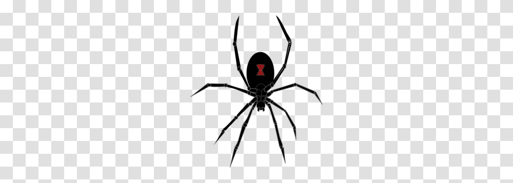 Black Widow Clipart, Bow, Invertebrate, Animal, Insect Transparent Png
