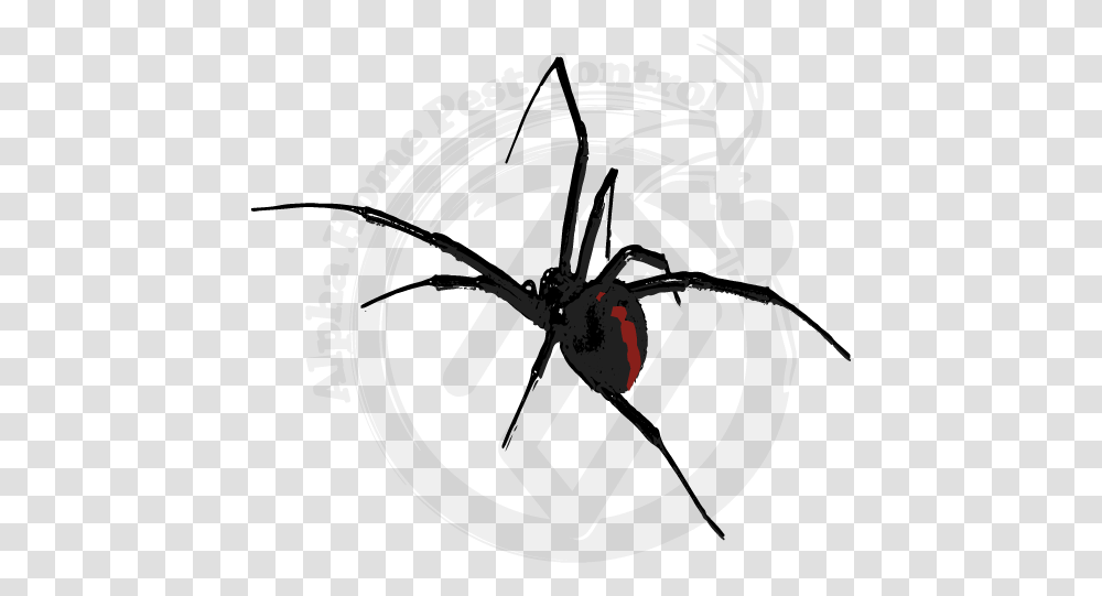 Black Widow, Clock Tower, Building, Machine, Wristwatch Transparent Png