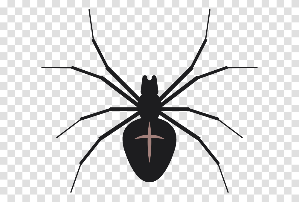 Black Widow, Invertebrate, Animal, Insect, Spider Transparent Png