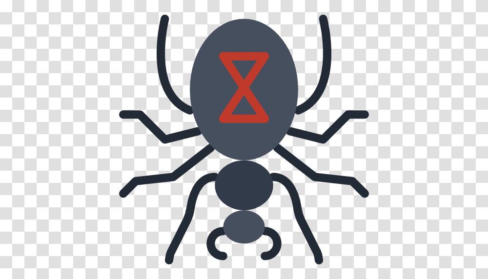 Black Widow, Invertebrate, Animal, Insect, Spider Transparent Png