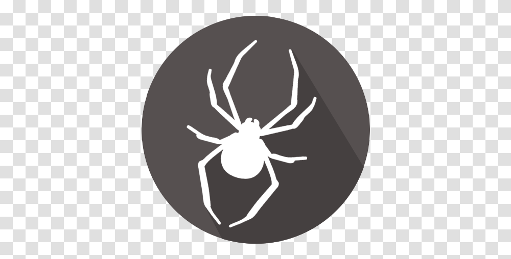 Black Widow, Spider, Animal, Arachnid, Smile Transparent Png