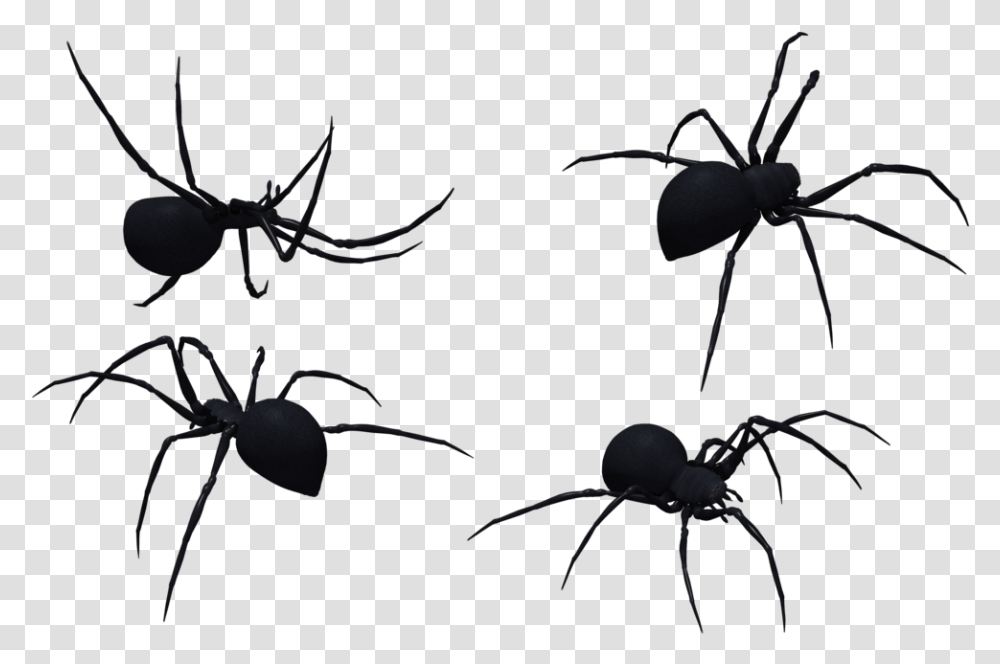Black Widow Spider Art Spider, Invertebrate, Animal, Arachnid, Insect Transparent Png