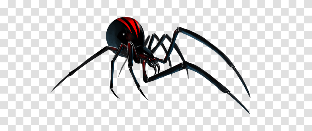 Black Widow Spider Background, Bow, Invertebrate, Animal, Insect Transparent Png