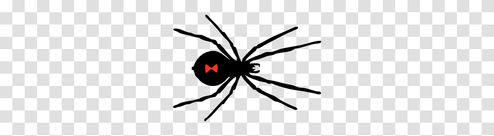 Black Widow Spider Clip Art Diy Crafts Spider, Bow, Animal, Invertebrate, Insect Transparent Png