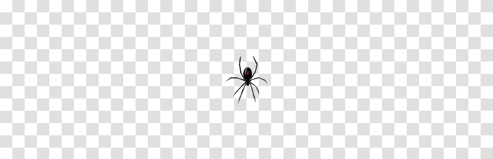 Black Widow Spider Clip Arts For Web, Invertebrate, Animal, Arachnid, Insect Transparent Png