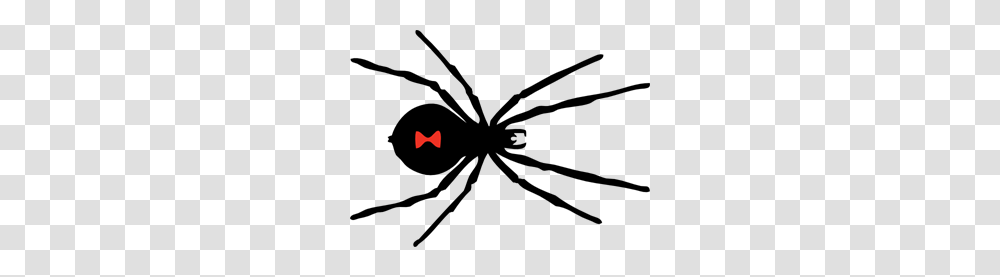 Black Widow Spider Clip Arts For Web, Logo, Trademark, Stage Transparent Png