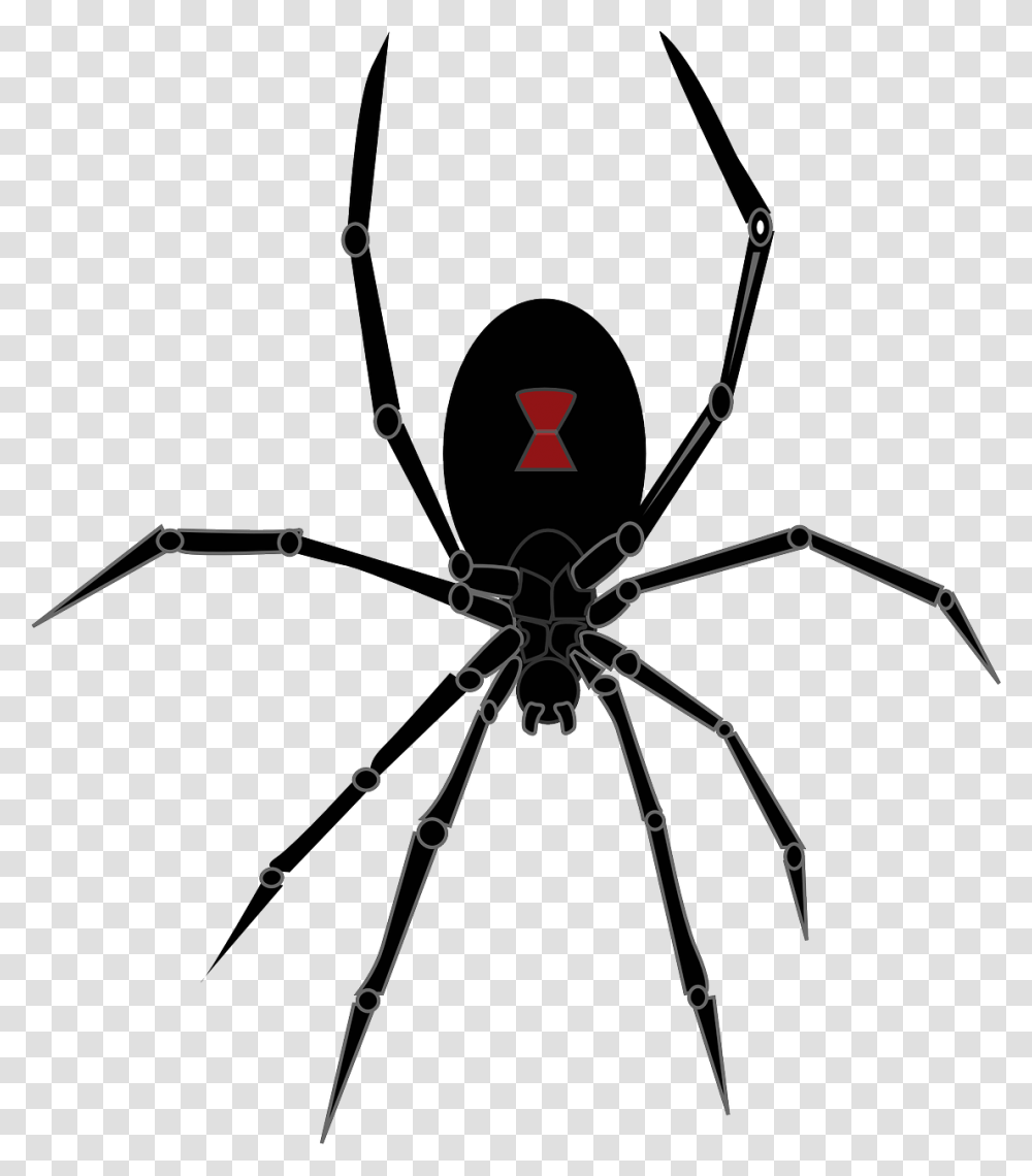Black Widow Spider Clipart Black Widow Spider Icon, Bow, Insect, Invertebrate, Animal Transparent Png