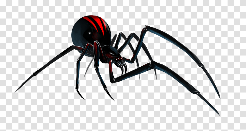 Black Widow Spider, Insect, Invertebrate, Animal, Arachnid Transparent Png