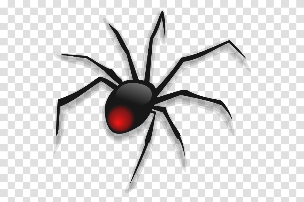 Black Widow Spider, Invertebrate, Animal, Tarantula, Insect Transparent Png