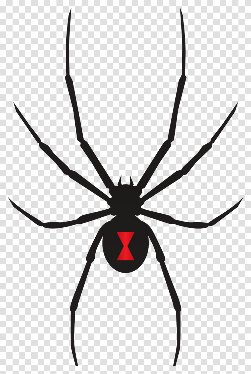 Black Widow Spider Svg, Invertebrate, Animal, Insect, Arachnid Transparent Png