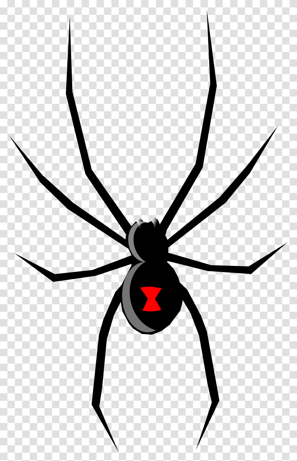 Black Widow, Number, Animal Transparent Png