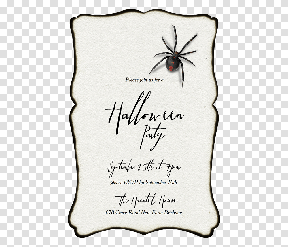 Black Widow, Insect, Invertebrate, Animal Transparent Png