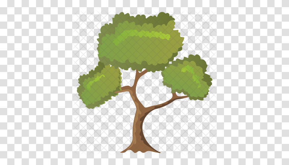 Black Willow Tree Icon Of Flat Style Tree, Plant, Person, Produce, Food Transparent Png