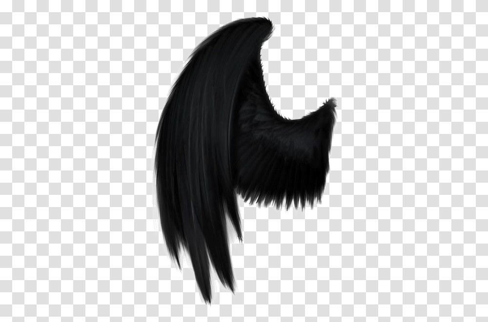 Black Wings Black Angel Wings, Person, Animal Transparent Png
