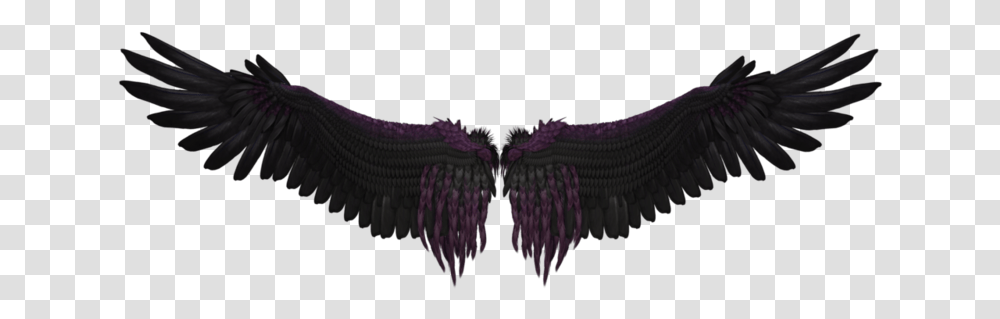 Black Wings, Apparel, Lingerie, Underwear Transparent Png