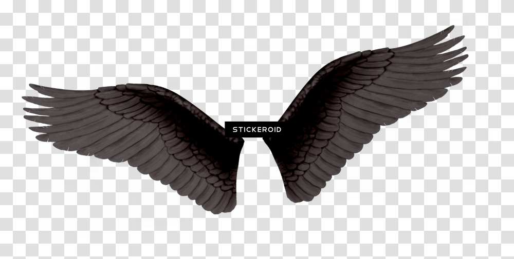 Black Wings, Eagle, Bird, Animal Transparent Png