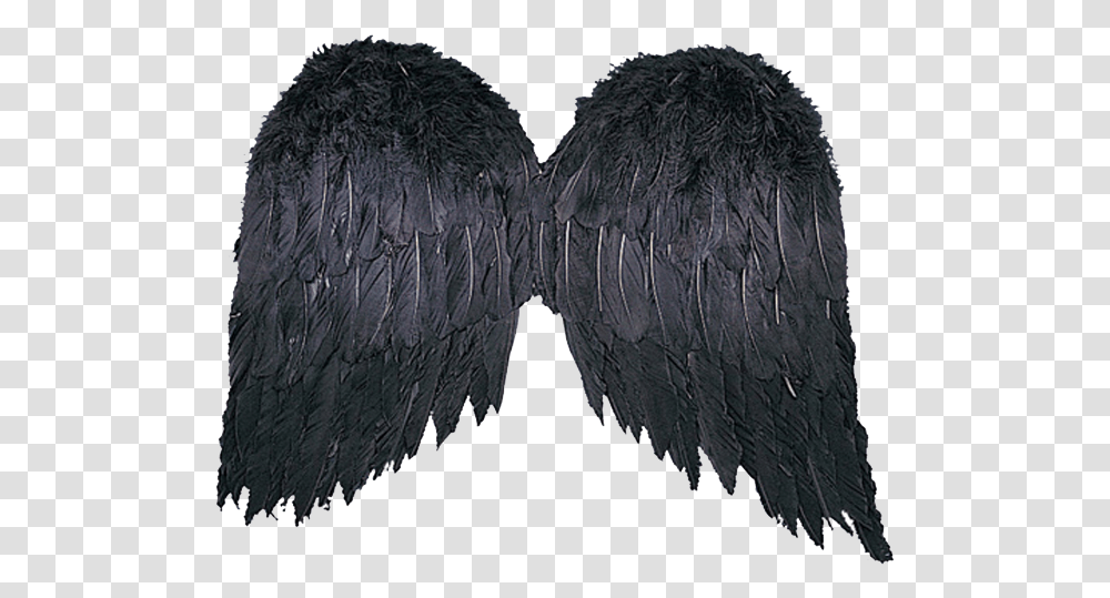 Black Wings, Fur, Cushion, Slate, Hair Transparent Png