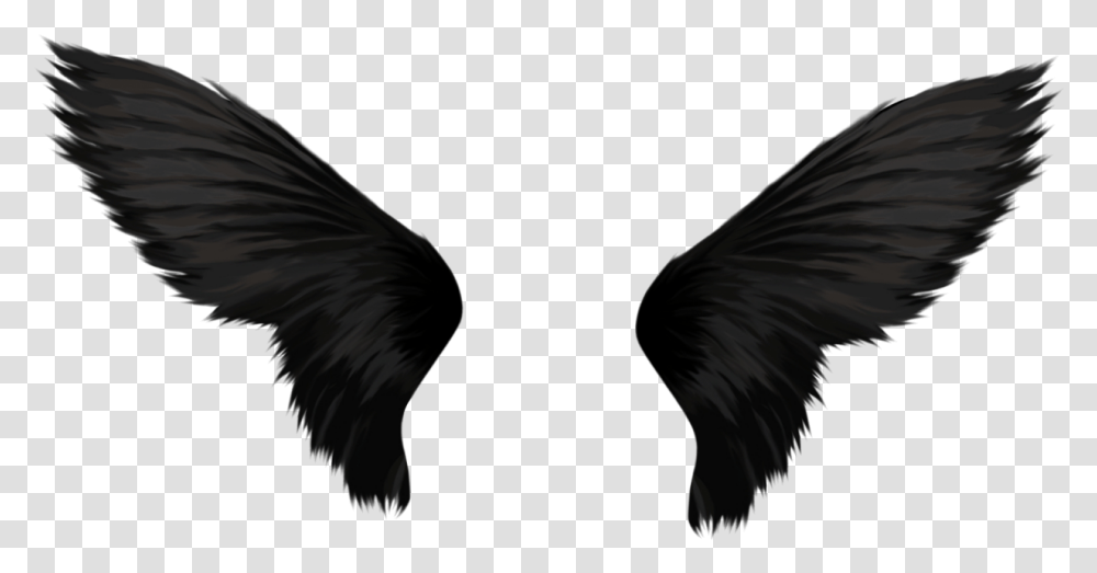 Black Wings Image Black Angel Wings, Bird, Animal Transparent Png