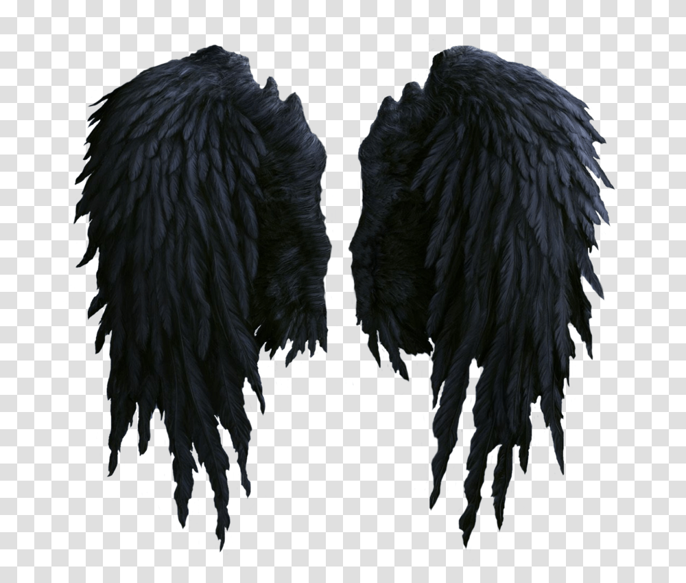 Black Wings Image Realistic Black Angel Wings, Fur, Bird, Animal Transparent Png