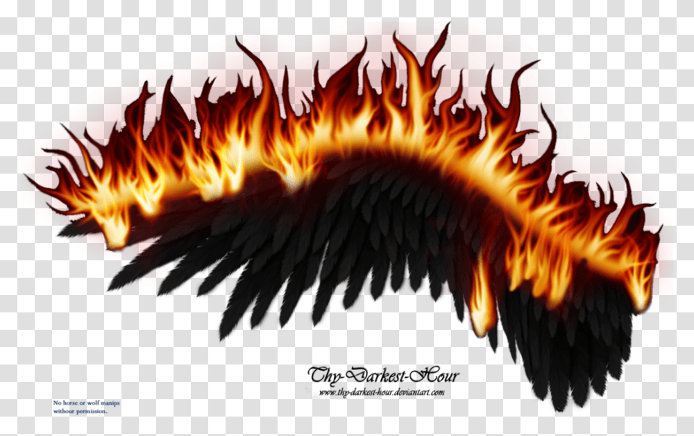 Black Wings On Fire, Bonfire, Flame, Dragon Transparent Png