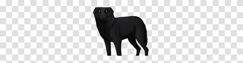 Black Wolf Image, Mammal, Animal, Person, Human Transparent Png