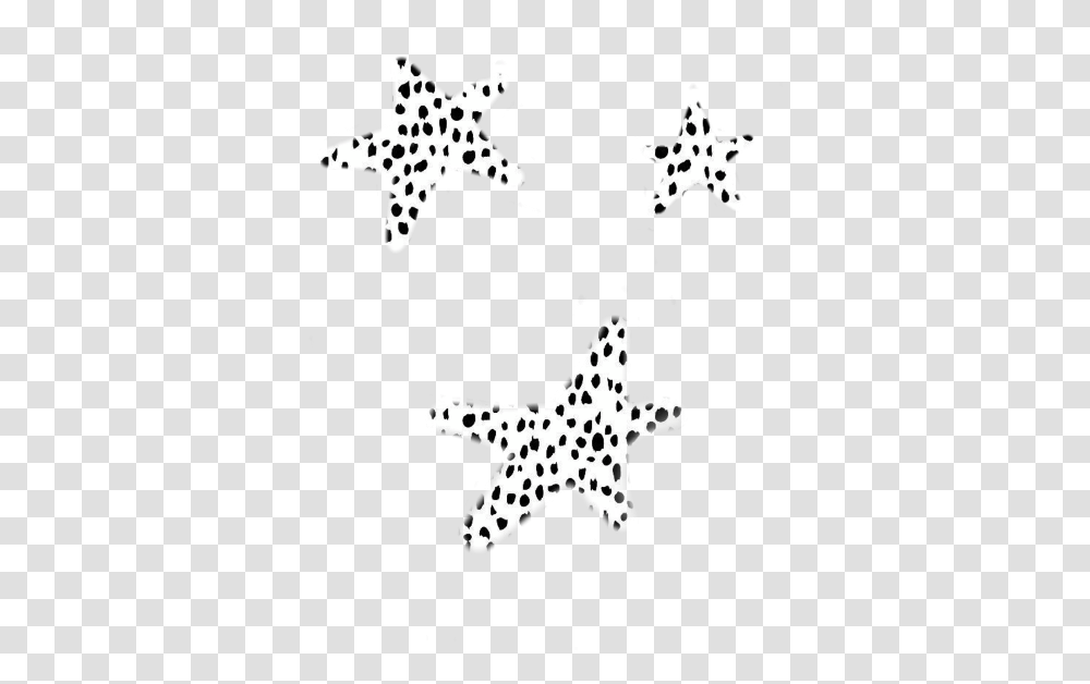 Blackampwhite Black White Star Vsco Stars Freetoedit Monochrome, Stencil, Star Symbol, Snowflake Transparent Png
