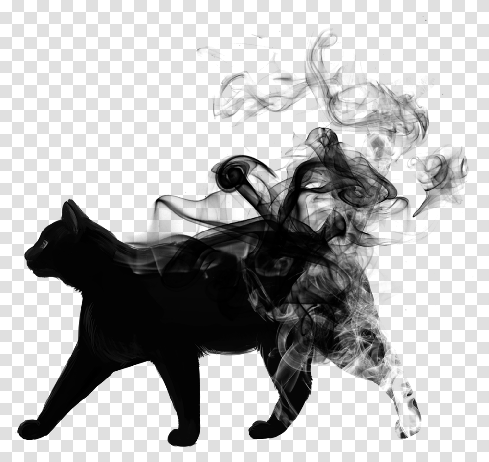 Blackandwhite Cat Animal Black Smoke Picsart Smoke Black, Horse, Mammal, Wildlife, Panther Transparent Png