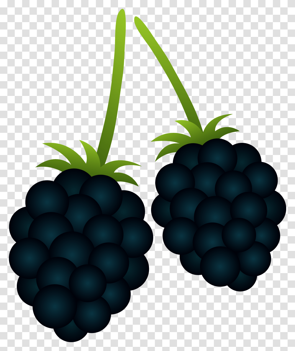 Blackberries Files Black Berries Clipart, Plant, Grapes, Fruit, Food Transparent Png