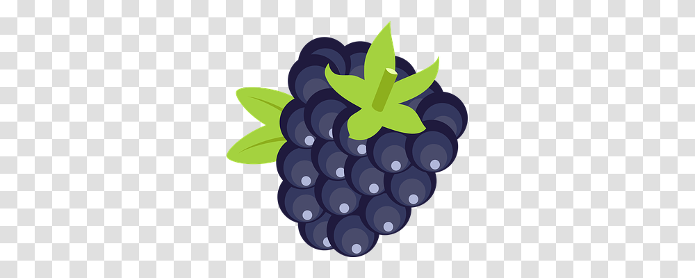 Blackberry Food, Plant, Grapes, Fruit Transparent Png