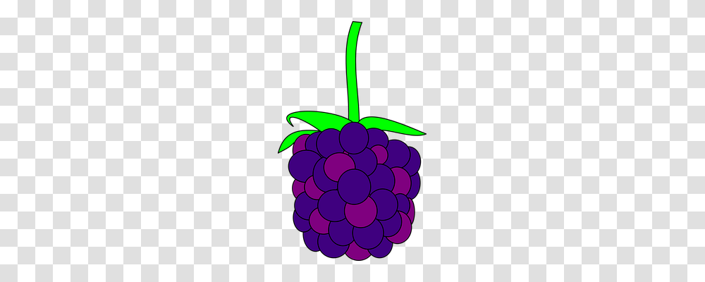 Blackberry Nature, Plant, Fruit, Food Transparent Png