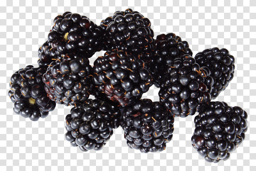 Blackberry Black Berry, Plant, Fruit, Food, Raspberry Transparent Png