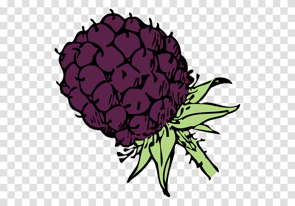 Blackberry Clip Art Blackberry Clip Art, Plant, Flower, Blossom, Vegetable Transparent Png