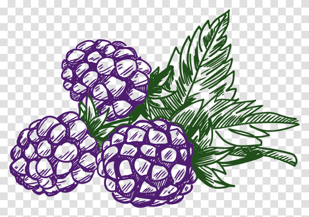 Blackberry Clip Art Of Berries, Plant, Food Transparent Png