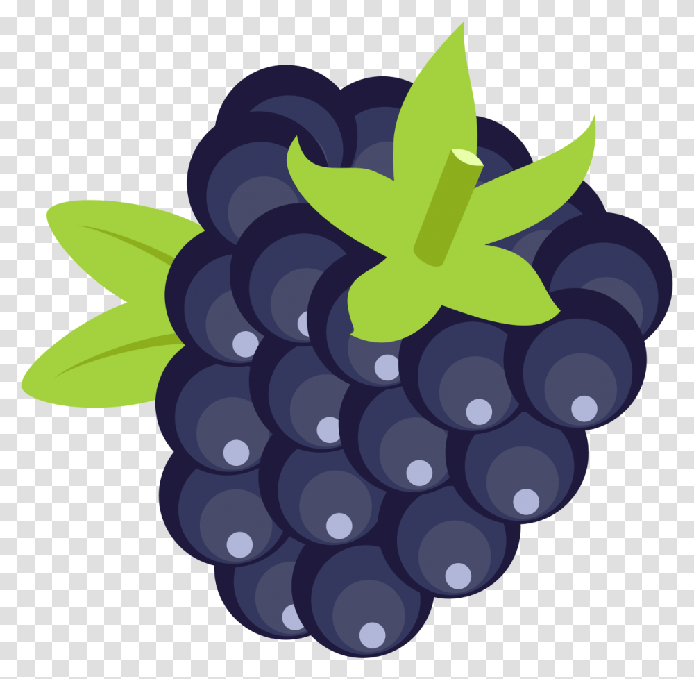 Blackberry Clip Free Files Blackberry Clipart, Plant, Grapes, Fruit, Food Transparent Png