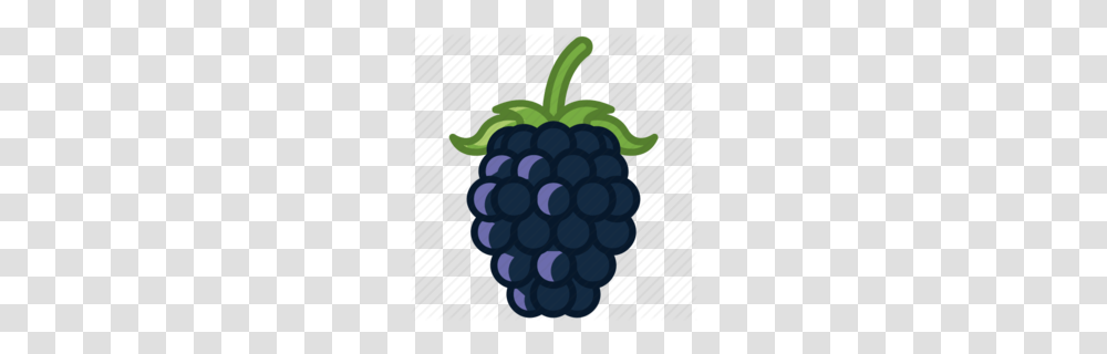 Blackberry Clipart Clipart, Plant, Food, Fruit, Raspberry Transparent Png