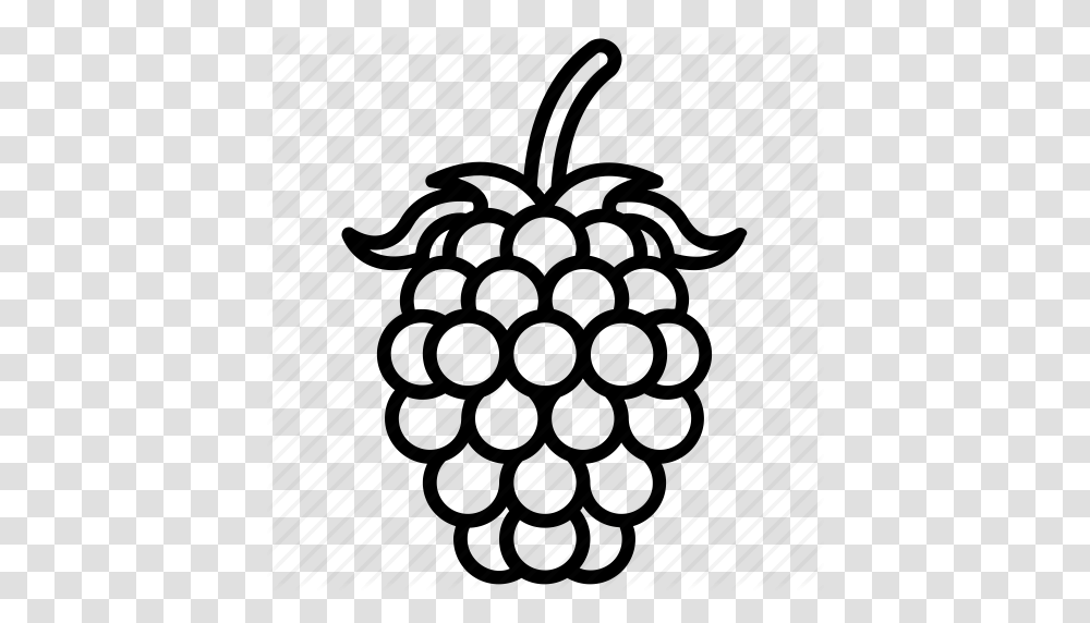 Blackberry Food Fruit Health Raspberry Vitamins Yumminky Icon, Plant, Weapon, Weaponry, Bomb Transparent Png