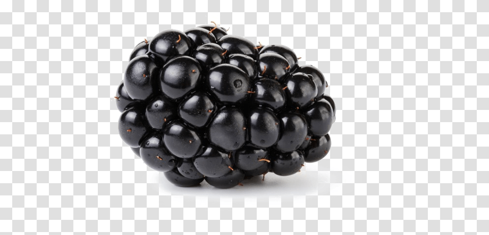 Blackberry Fruit Blackberry Fruit, Plant, Food, Blueberry, Helmet Transparent Png