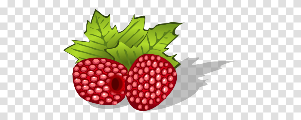Blackberry Fruit Copyright Auglis, Plant, Strawberry, Food, Raspberry Transparent Png