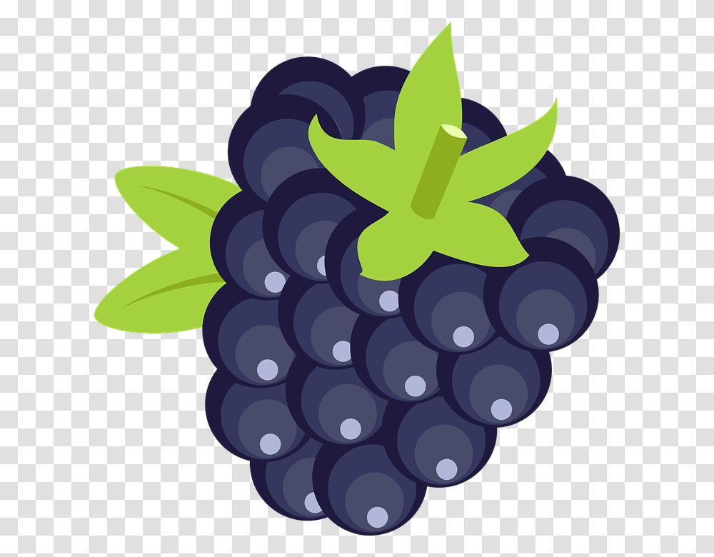 Blackberry Fruit Free Images Only, Plant, Grapes, Food, Blueberry Transparent Png