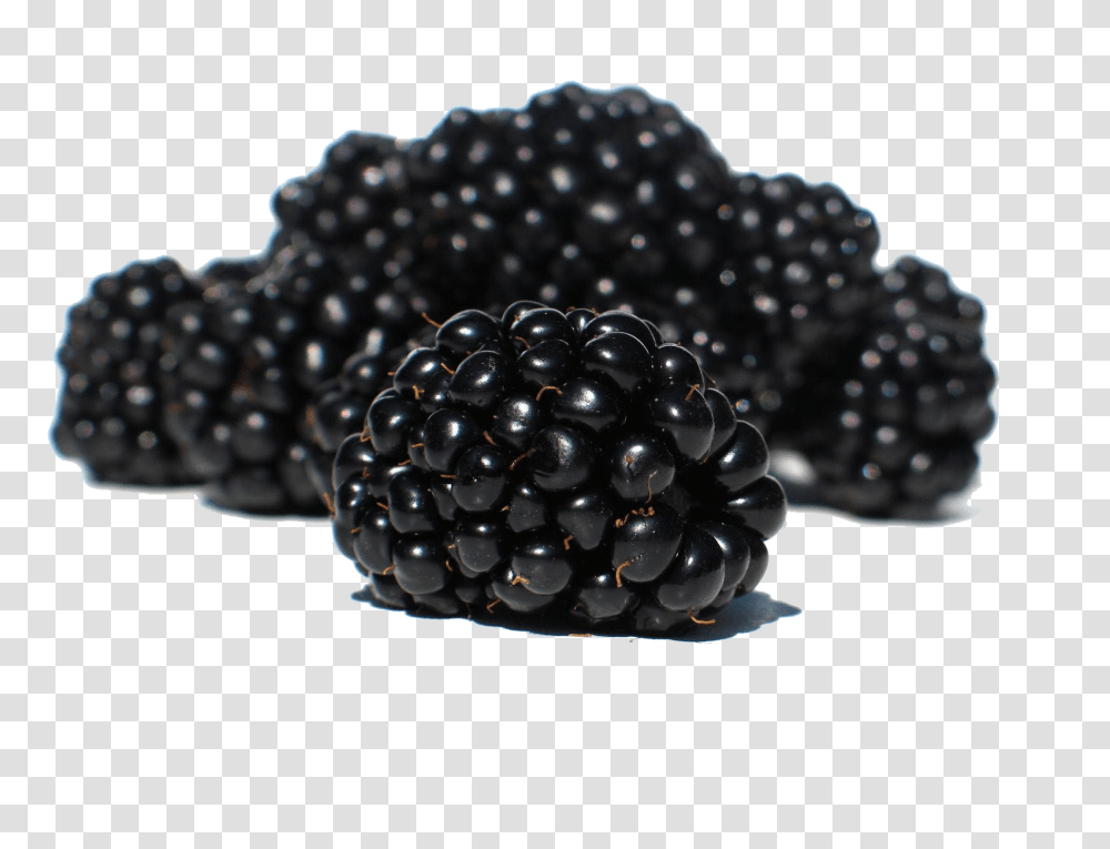 Blackberry, Fruit, Plant, Food, Blueberry Transparent Png