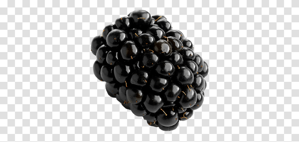 Blackberry, Fruit, Plant, Food, Grapes Transparent Png
